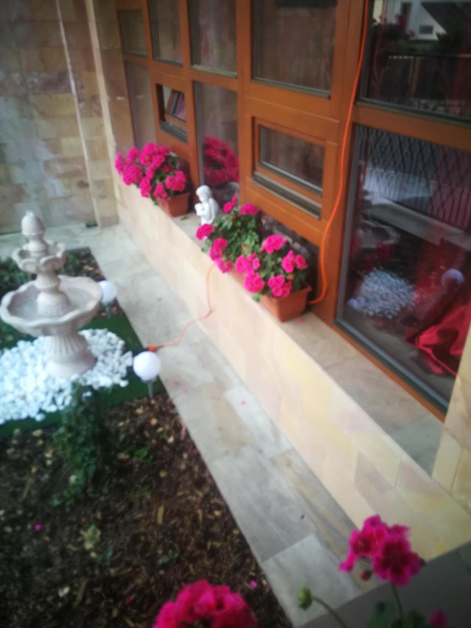 Villa Barrandovska 프라하 외부 사진